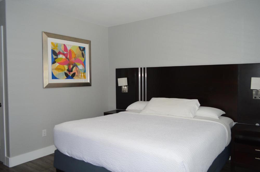 King Room interior